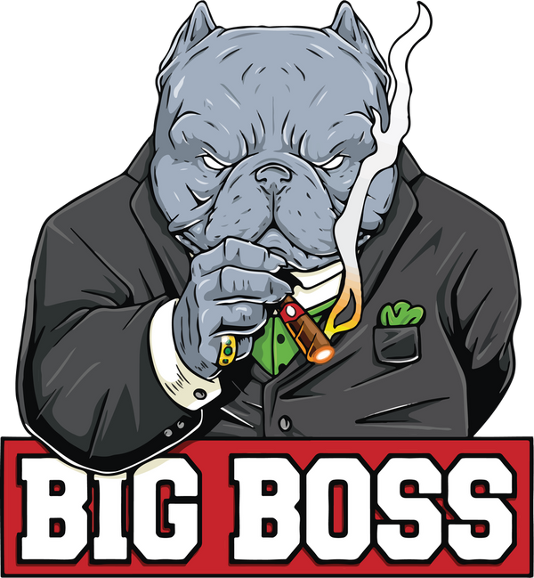 Big Boss Comics